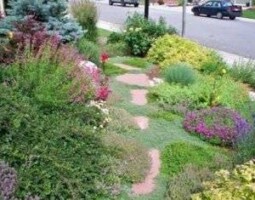 Front yard with pathway through bushes next to street