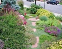 Front yard with pathway through bushes next to street