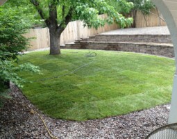 finished landscaping with green grass, tree and stone steps by McMahon Landscape