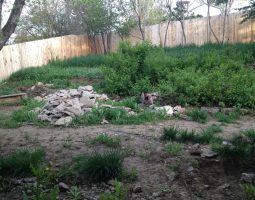 garden landscaping