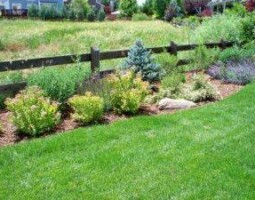 landscaping with green grass with wood fence and bushes with stones by McMahon Landscape